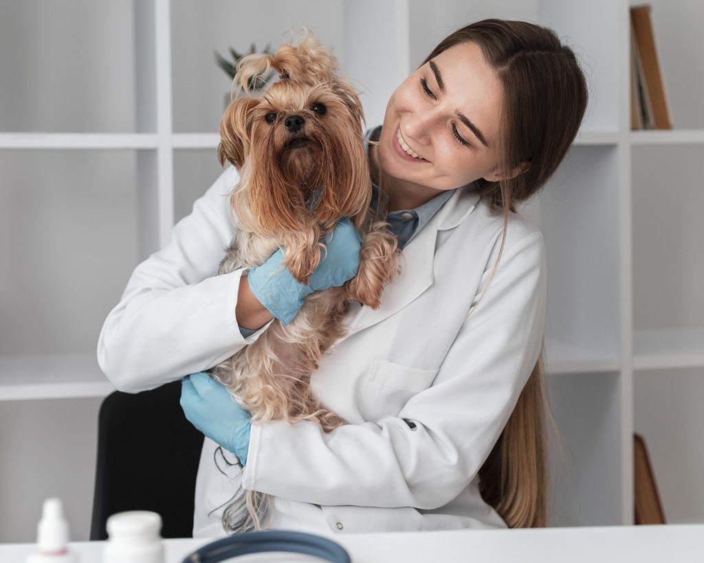 Expert Comptable pour vétérinaire