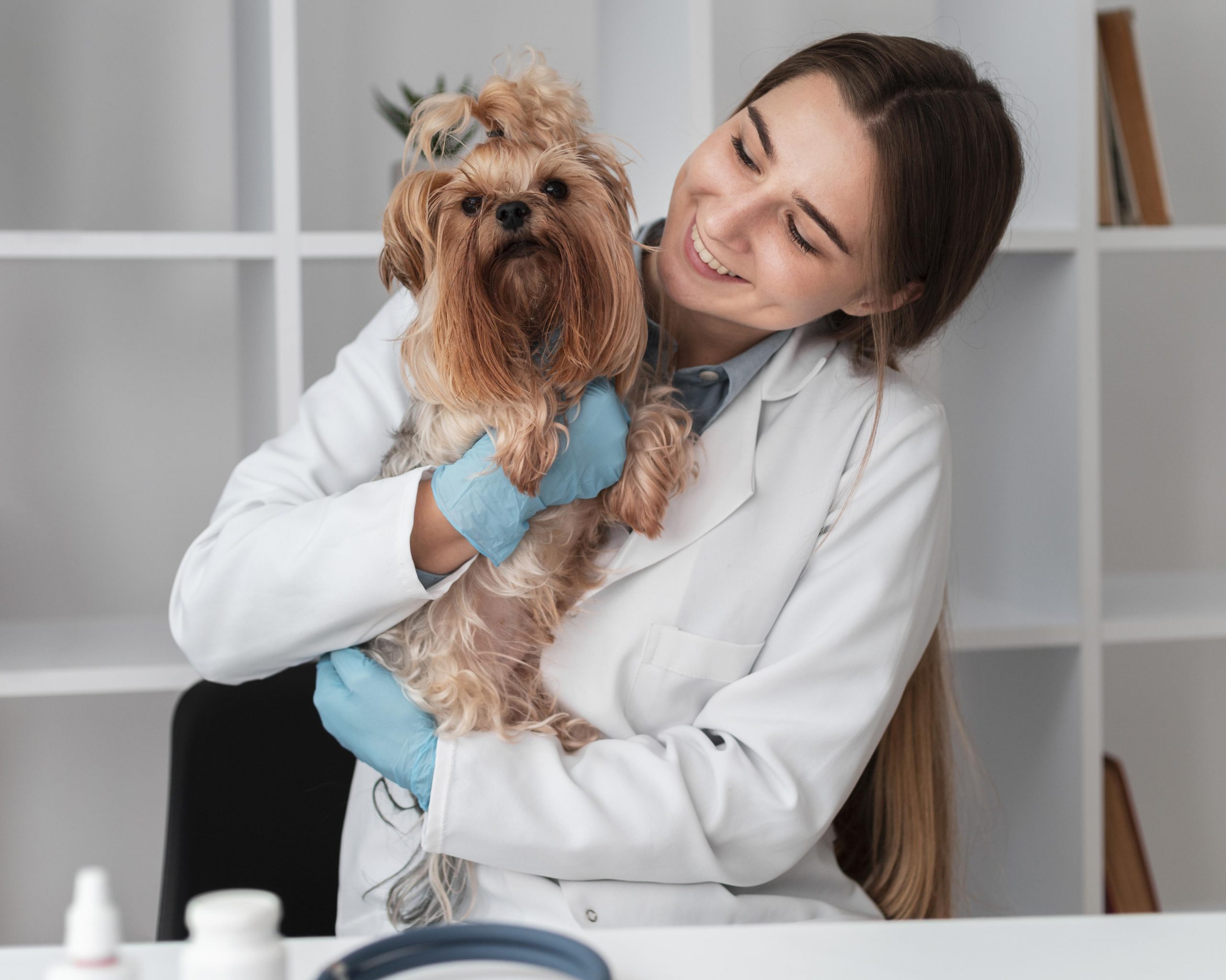 Expert Comptable pour vétérinaire